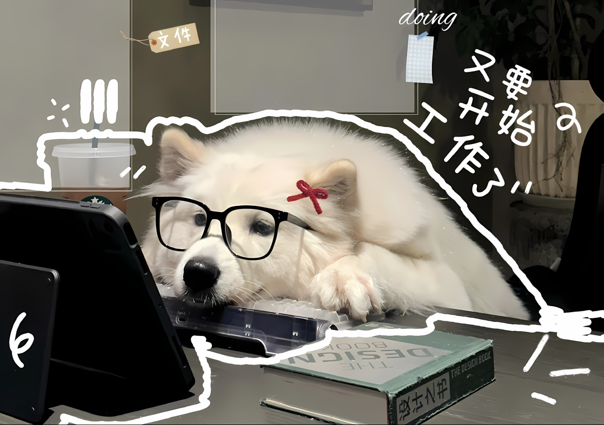 关于我